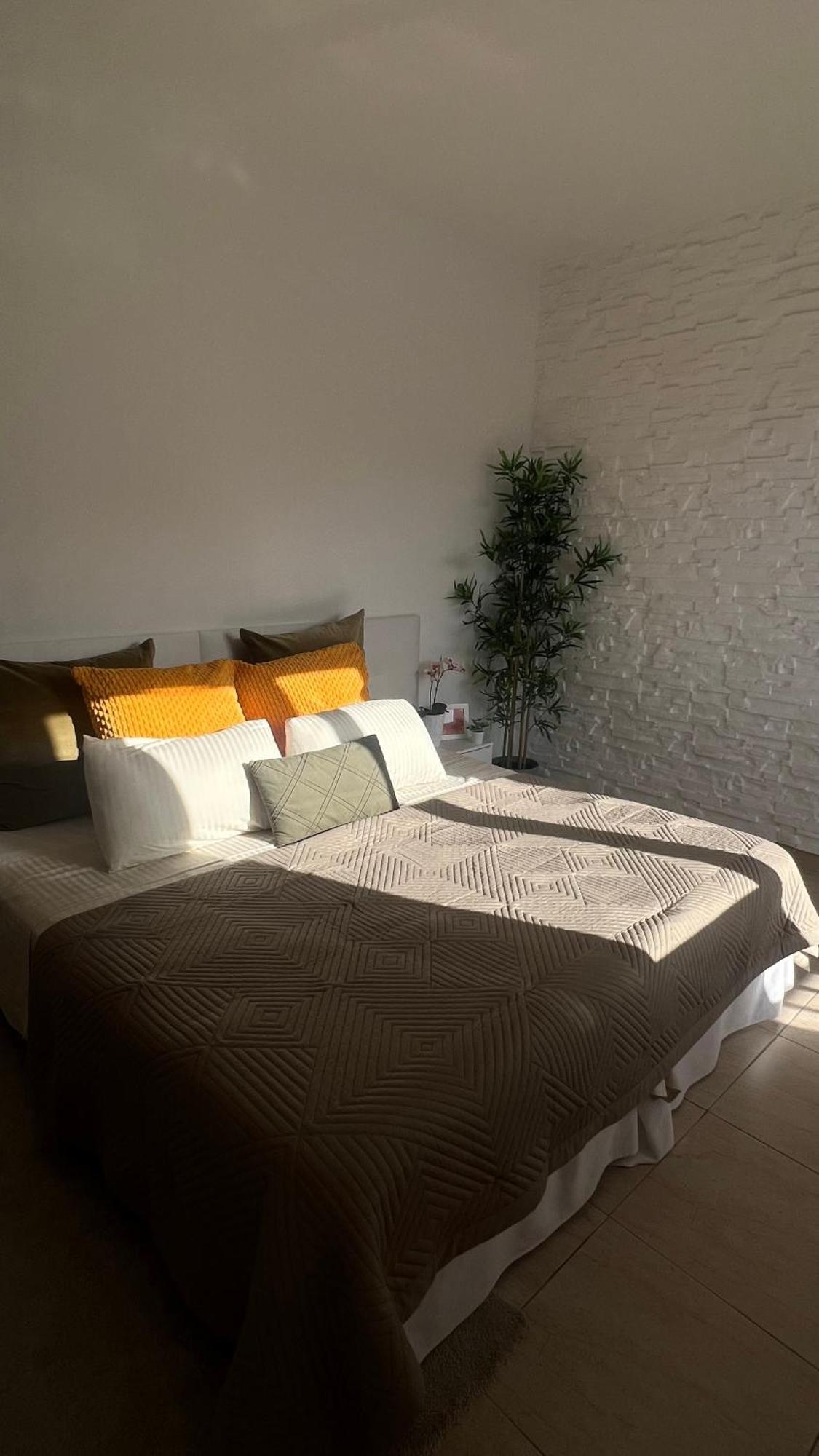 Apartament Tenerife Te Espera! Icod De Los Vinos Zewnętrze zdjęcie