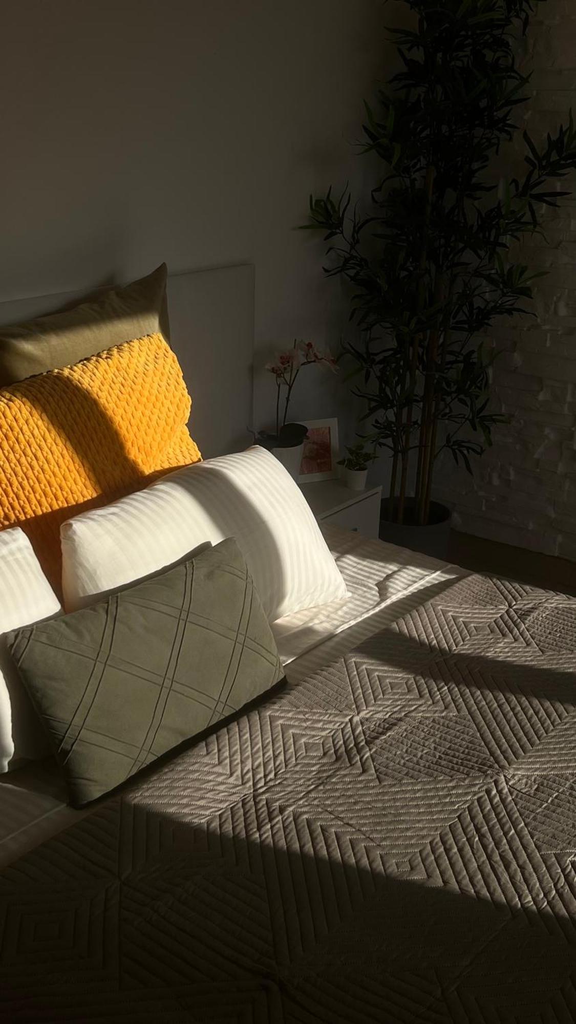 Apartament Tenerife Te Espera! Icod De Los Vinos Zewnętrze zdjęcie